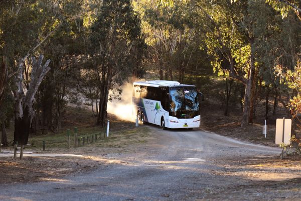 Camp Cottermouth — photo 8